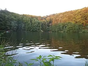 Schönsee