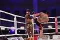Vecchio vs. Topyürek 2016