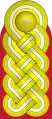 Schulterstück(Heer)