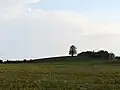 von Norden