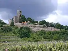 Wachenheim: Wachtenburg