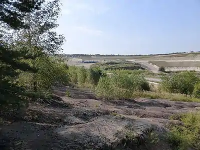 Aufgeschlossenes Braunkohleflöz