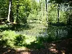 Blick über die Wagnersgrube in Richtung Osten