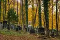 Der neueste Teil des Friedhofes