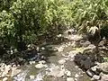 Fluss durchs Waimea-Tal