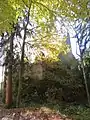 Wald bei der Burgruine Wolkenstein im Herbst