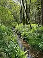 Waldbachtal