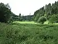Waldlichtung am Lieserpfad
