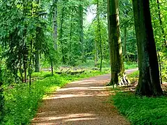Waldpark