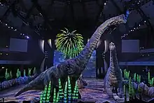"Live Show"