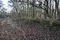 Reste der Burgmauer der Wallburg aus Richtung Norden