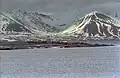 Walrosskolonie auf Prinz-Karl-Vorland
