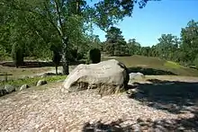 Lönsgrab im Tietlinger Wacholderhain