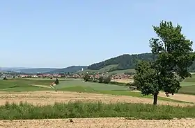 Waltalingen von Osten
