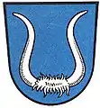 Büffelgehörn: (Erichshagen-Wölpe&nbsp;DE)