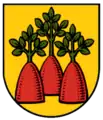 Wappen von Heinzenberg