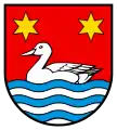 schwimmende Ente