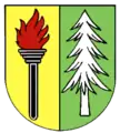 Rotzingen/Burg