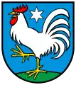 Hahn in Veltheim AG (Schweiz)