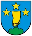 Wappen von Villigen