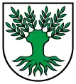 Wappen von Widen