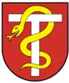 T-Kopfschaft (Kopfbalken) mit Schlange  (Lachen, Schwyz)
