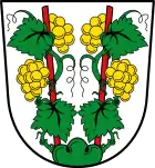 mit Rebstöcken: Euerdorf/Ufr. DE