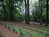 Denkmalzone Ehrenfriedhof