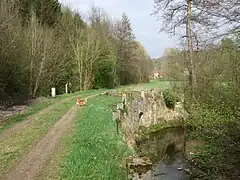 Döhlauer Graben (links) und Warme Steinach nahe Döhlau