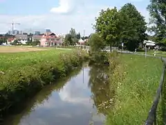 Die Steinach kurz vor der Mündung in den Roten Main