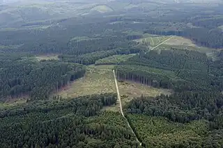 Der Rennweg im Heve-Möhne-Wald.