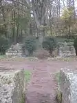 Bastionsmauer, „Eibentor“ mit zwei Steinthronen, Blutbuche.