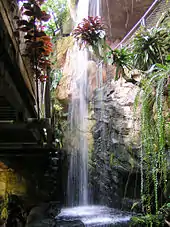 Wasserfall im ehemaligen Regenwaldhaus Hannover