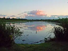 Wasser und Land prägen die „Weerribben“