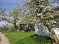 Frühling in Wefelpütt