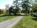 Weg quer durch die Wiese im Süden