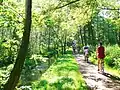 Wanderweg entlang der Schwalm