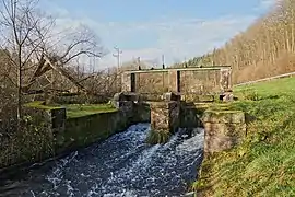 Wieslauter oberhalb von Nieder­schlettenbach