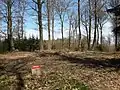Gipfel der Weißler Höhe mit Wegkreuz und Vermessungspunkt; Blick nach Norden