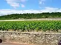Weinbau an der Côte de Nuits