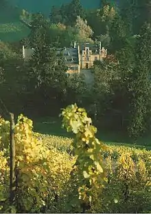 Schloss Grünhaus