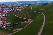Luftbild der Weinlage
