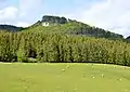Der Wenzelstein, ein Nebengipfel des Schafbergmassivs