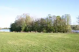 Blick vom Nordufer auf die Vogelinsel