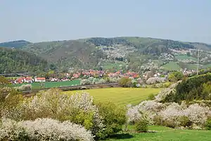 Kirschblüte
