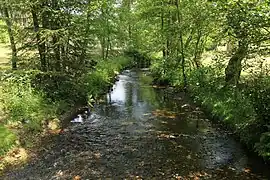 Eifgenbach bei Rausmühle