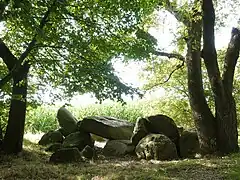 Großsteingrab Werpeloh 4