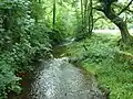 Am Oberlauf der Weser bei Roetgen