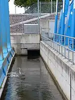 Reiher, regelmäßiger Gast auf dem Rand des Feinrechens, hinten der Ablauf für treibguthaltiges Wasser