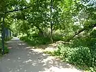 Elsa-Rendschmidt-Weg